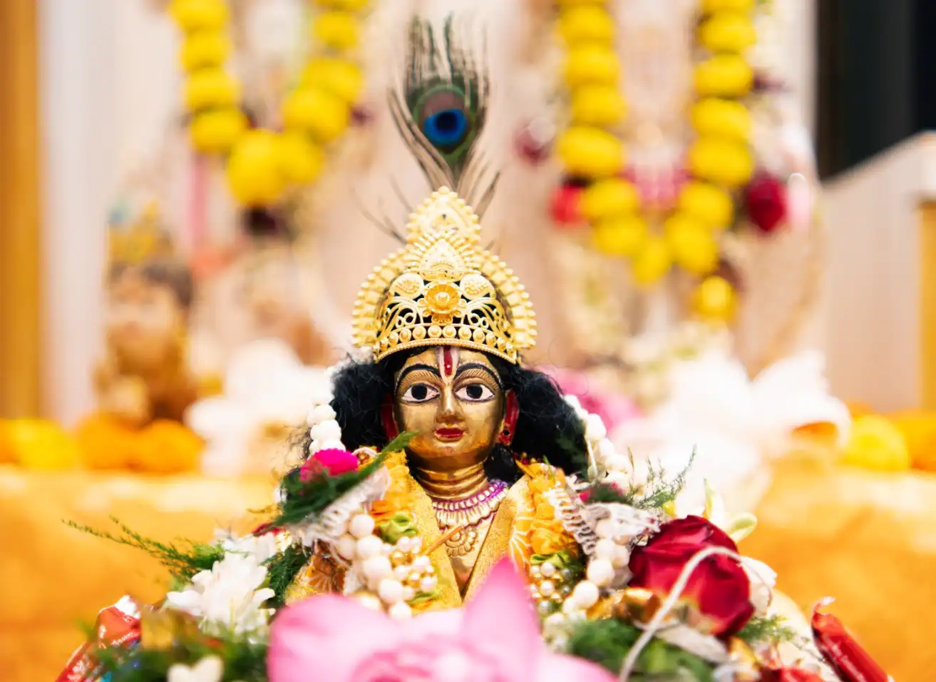 Devotees offering prayers during Krishna Janmashtami puja and havana at Nabatara Foundation in Kolkata